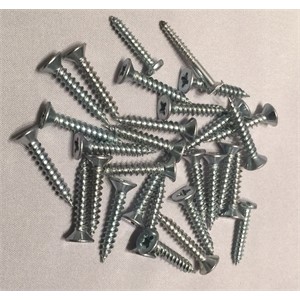 Stainless Steel Self Tapping Screws X 100